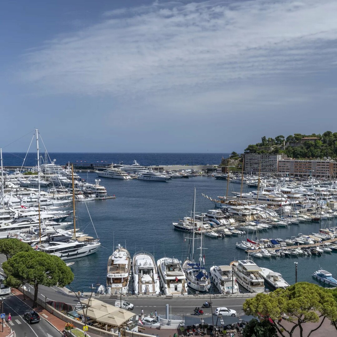 Condamine - Le Panorama - Appartamento unico